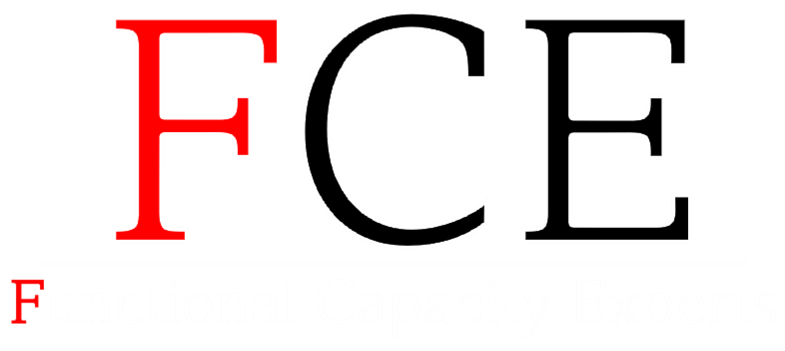 Functional Capacity Experts